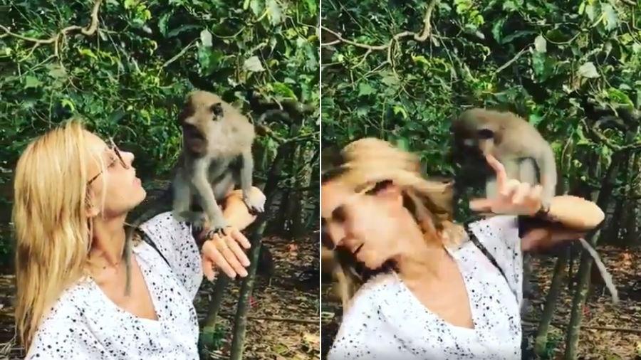 Cris Dias foi atacada por macaco (Reprodução: Instagram)