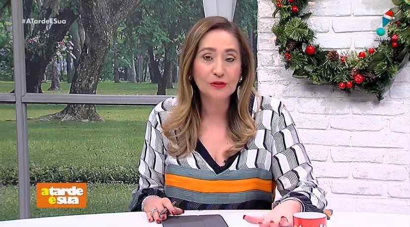 A apresentadora da Tarde É Sua da RedeTV!, Sonia Abrão voltou para o hospital na manhã desta quinta-feira para acompanhar a sua mãe (Foto: Reprodução)