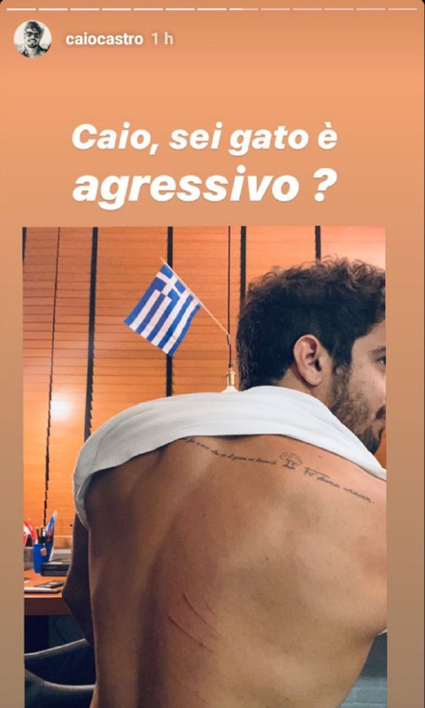 Caio Castro mostrou as costas após ser arranhado por gato de estimação (Foto: Reprodução/ Instagram)